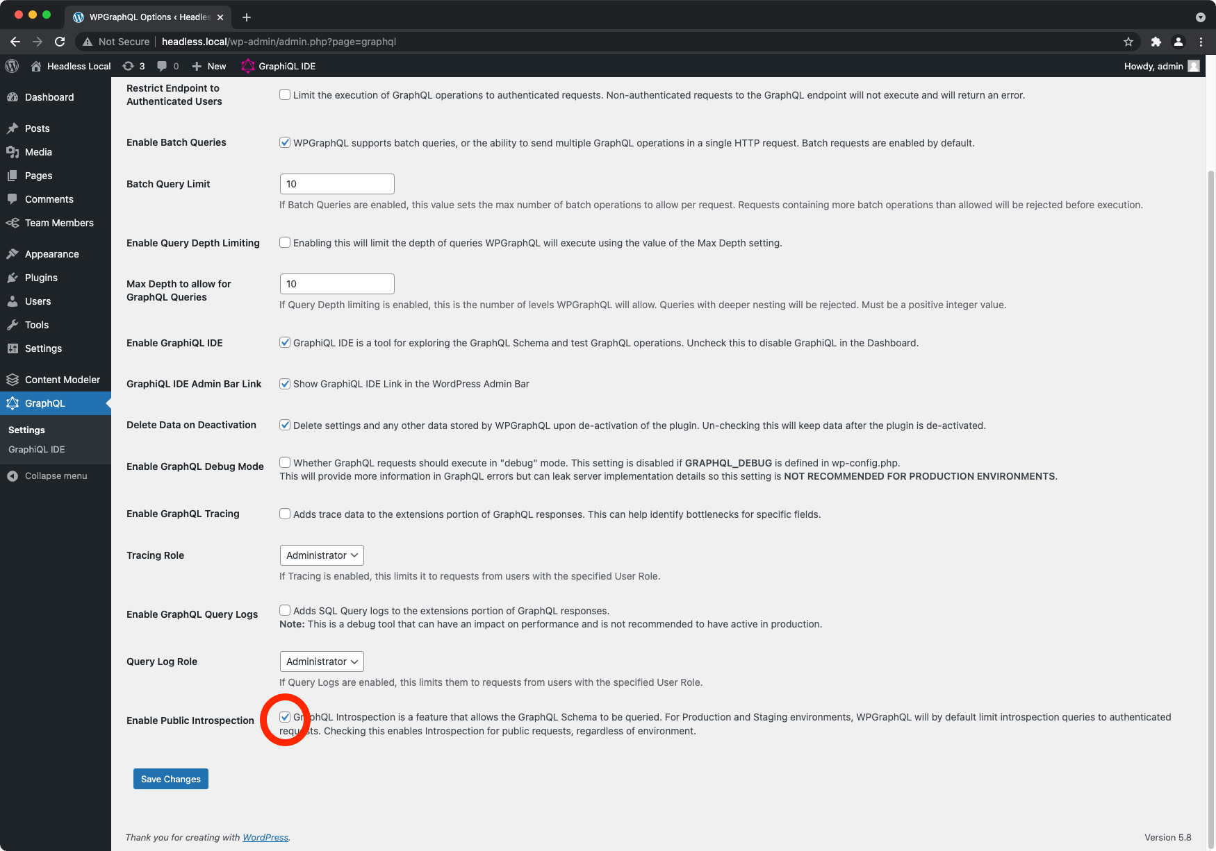 The WPGraphQL settings page with a red circle around the Public Introspection option